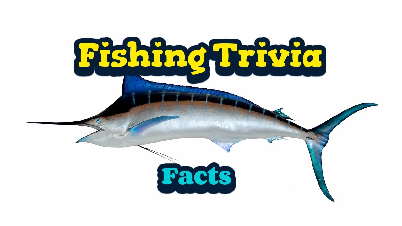 Fishing Trivia Facts
