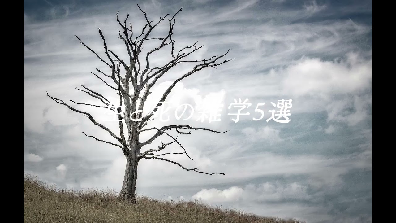 生と死の雑学5選