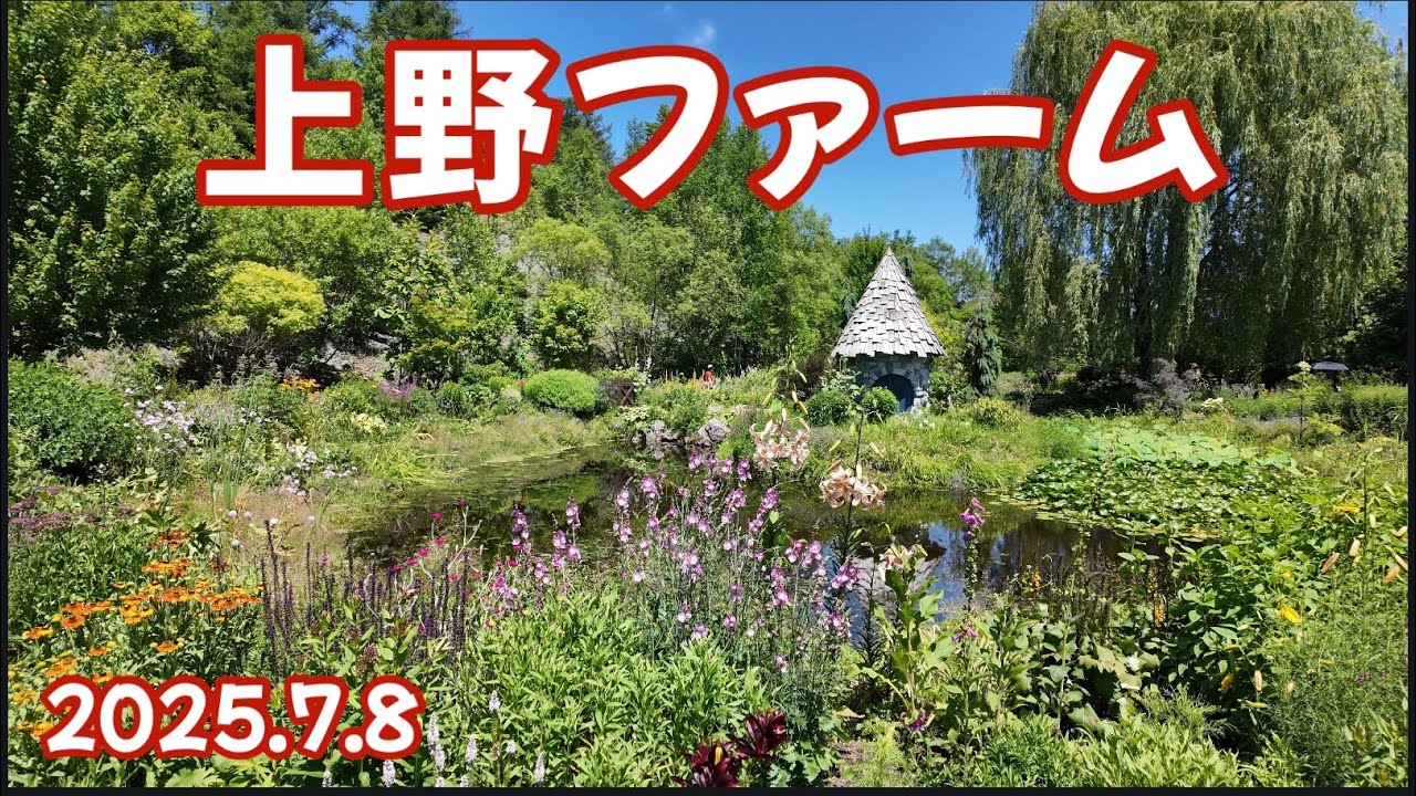上野ファーム