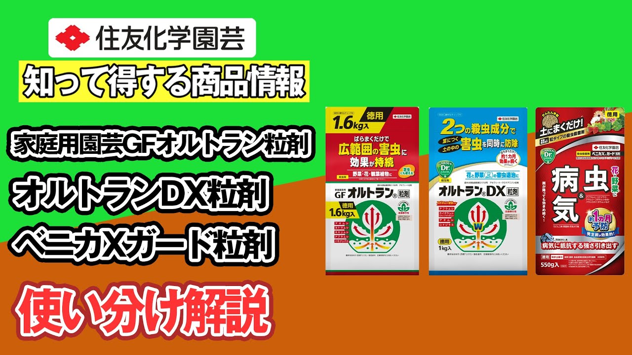 粒剤の使い分け解説～知って得する商品情報（家庭園芸用GFオルトラン粒剤、オルトランDX粒剤、ベニカXガード粒剤）～ガーデンドクターTV110