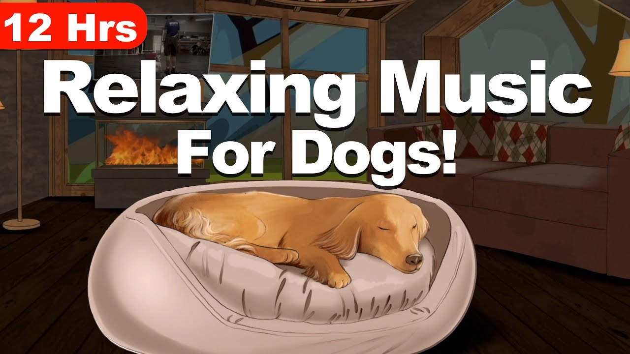 12 Hours Of Music For Dogs