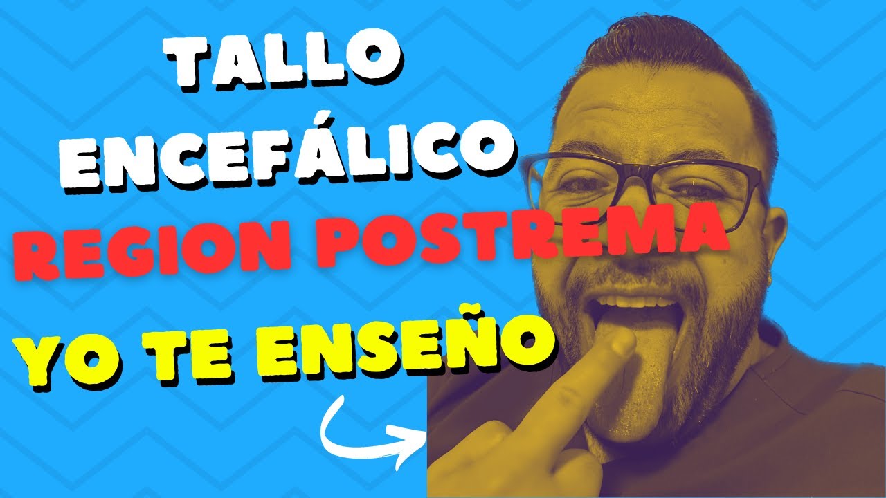 Tallo Encefálico y Región Postrema