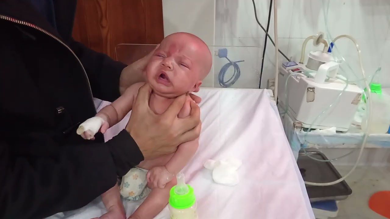 Peaceful Bottle Feeding Moments with Baby 🍼Calm & Happy Baby Bottle Feeding TimeSweet Baby feeding. 