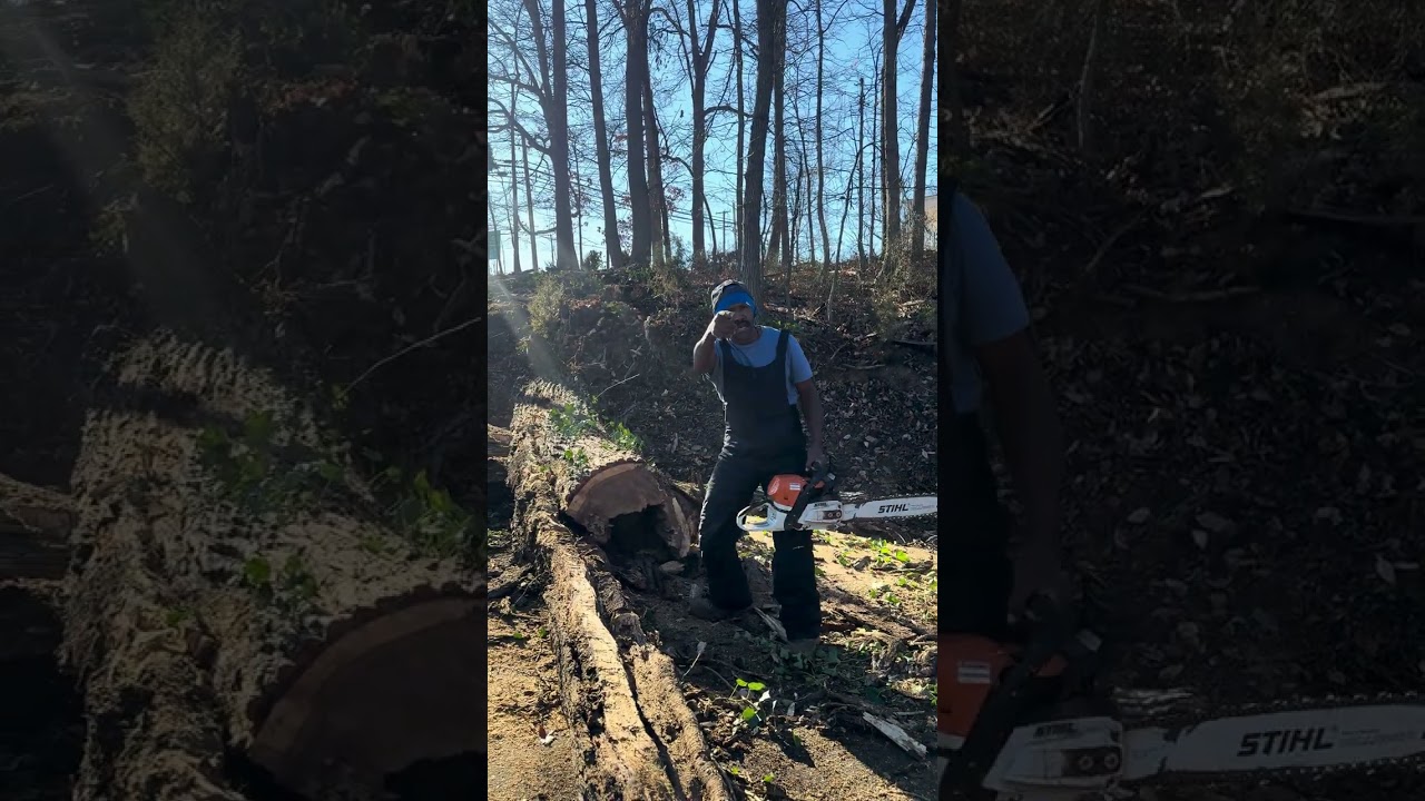 Tree service ￼