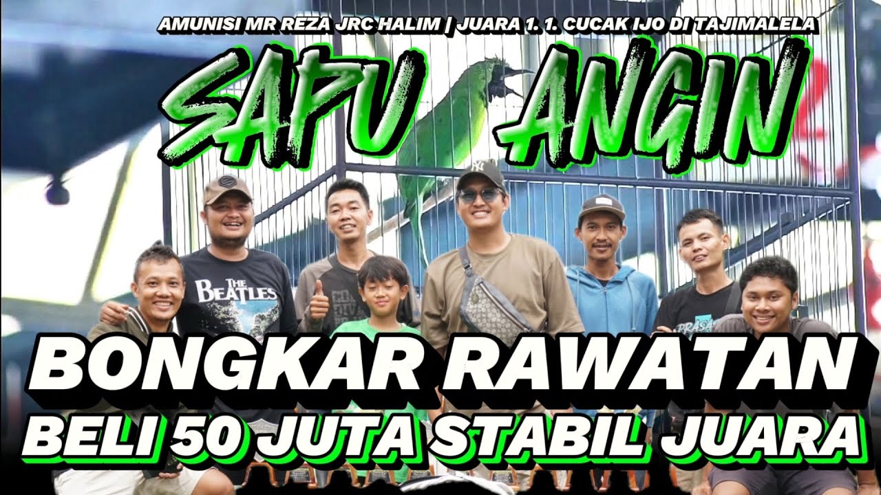 BONGKAR RAWATAN CUCAK IJO SAPU ANGIN | BELI 50 JUTA TERUS STABIL JUARA TIAP PEKAN