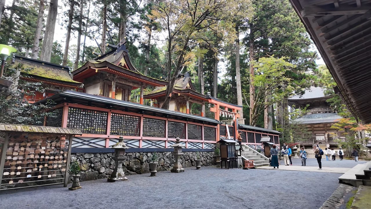 MT. KŌYA - Kuromon Market, Danjō Garan, Kongōbu-ji, Fukuchi-in Temple Lodging, Oku-no-in (Night)