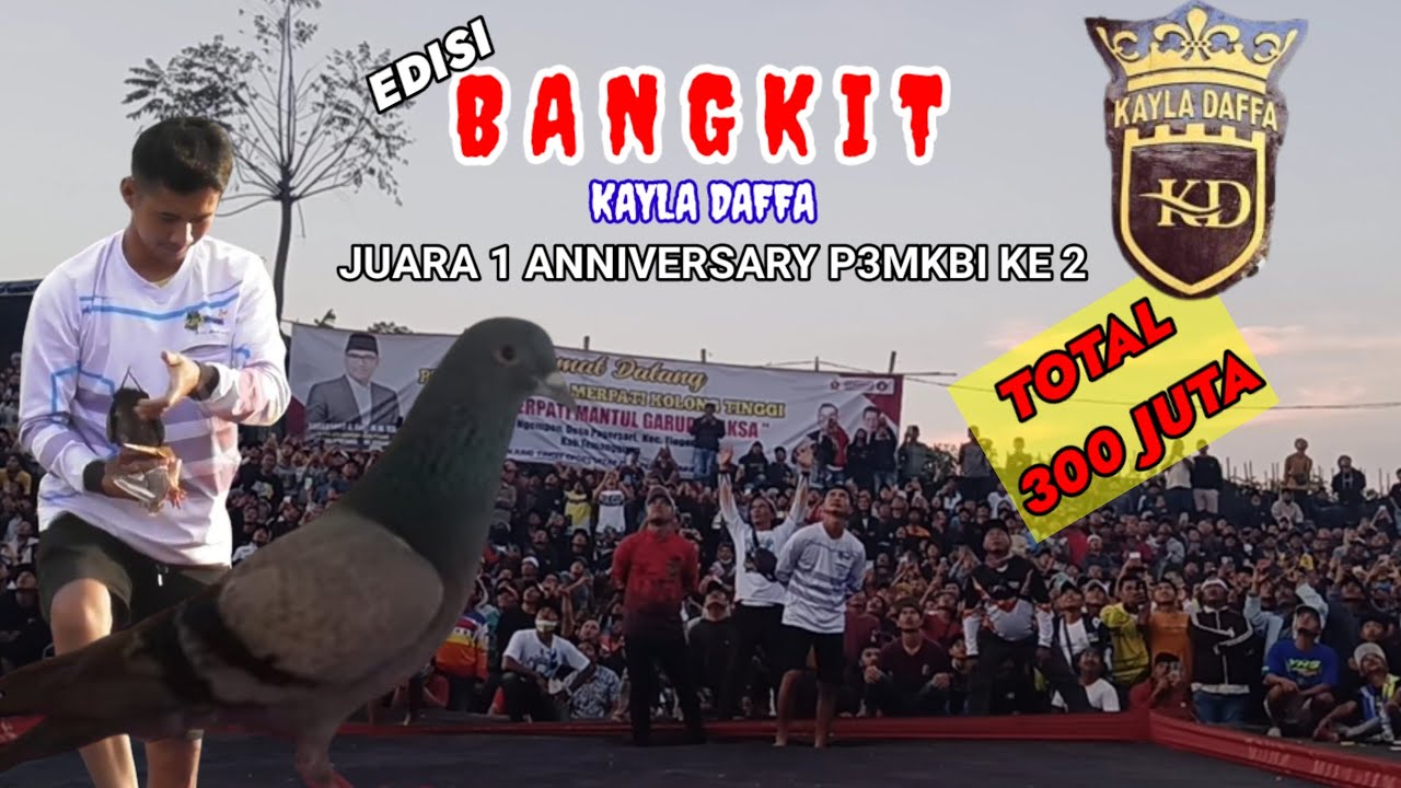 BANGKIT KAYLA DAFFA Juara 1 event Annyversari p3mkbi lapak mantul garydayaksa