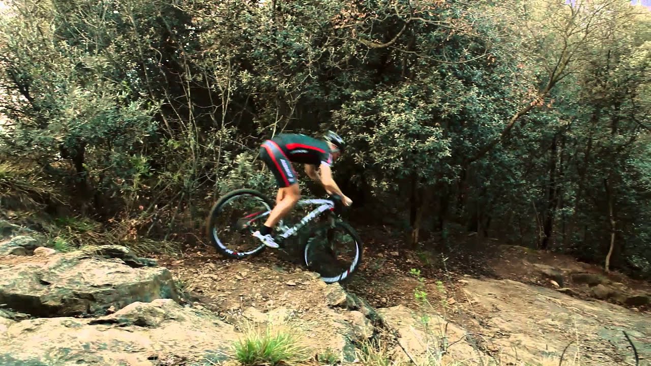 MBIKE BARRACUDA SLR CARBON 29