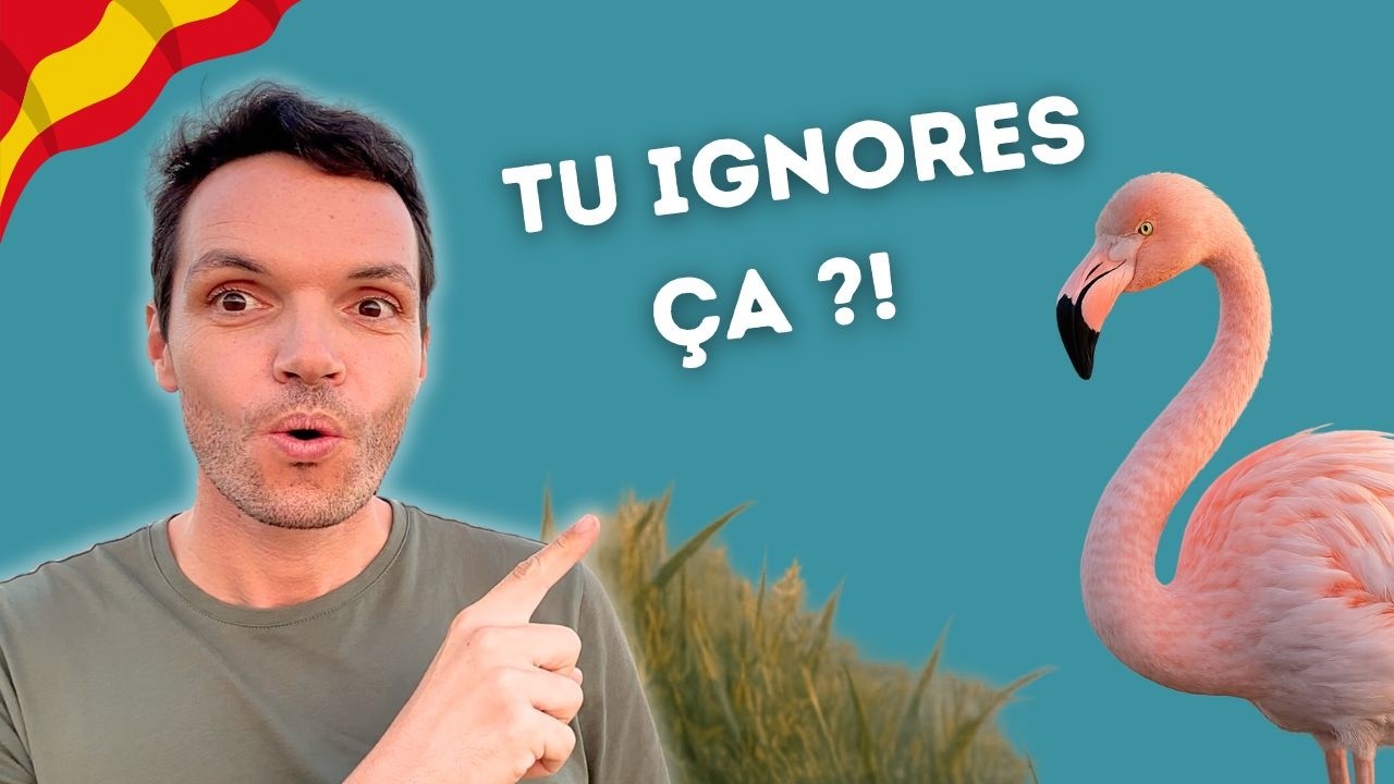 Tu ne connais PAS cette Espagne 🇪🇸🌾 [Delta de l’Ebre]