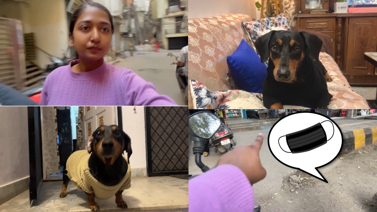 Mask kaha gira diya??!!! 🤣