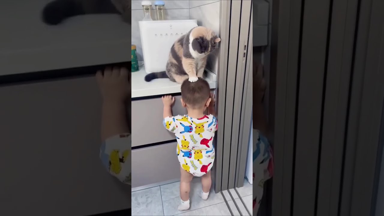Cats vs Babies 😹👶 | Cutest & Funniest Moments Compilation#youtubevideo