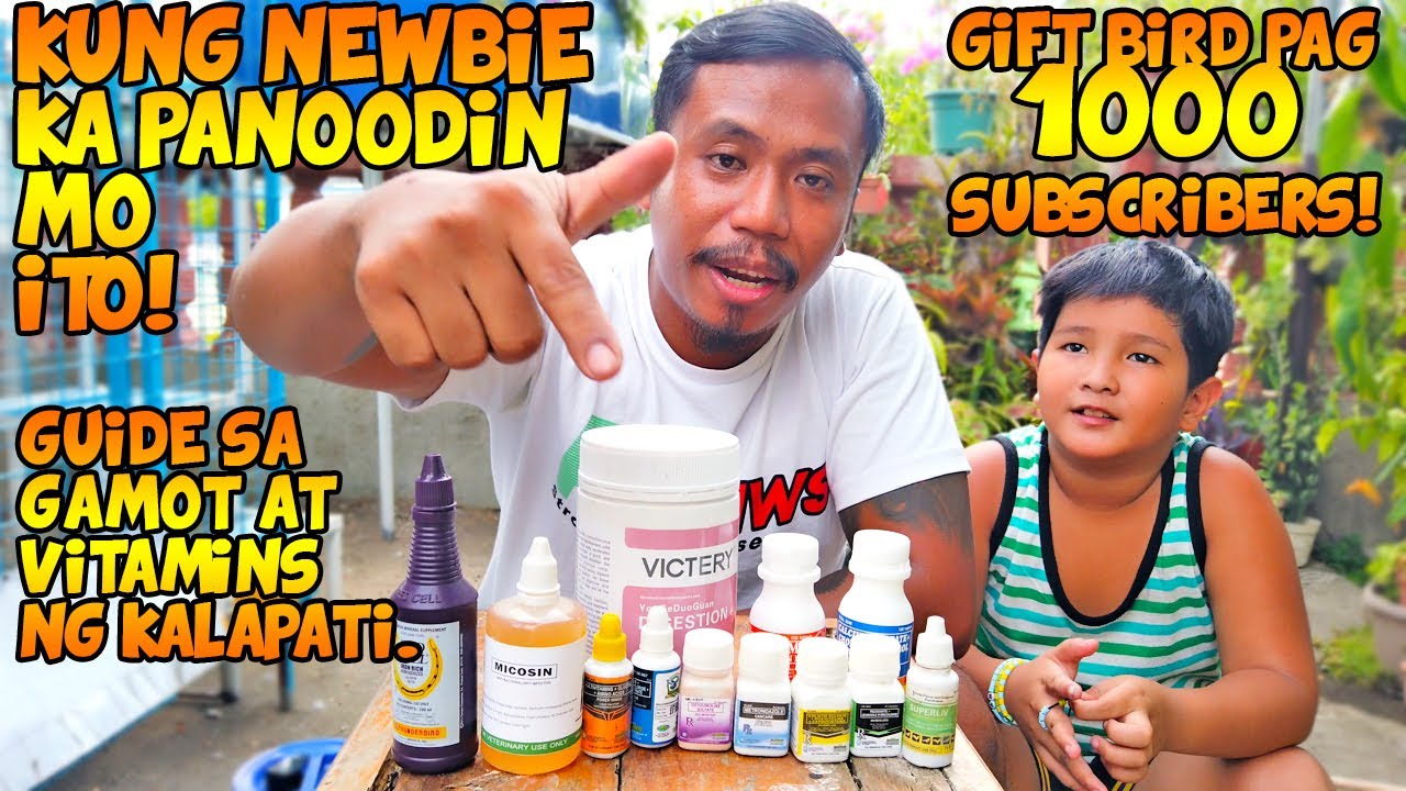 Guide Para sa Vitamins ng Kalapati | Kain PEPEr Loft