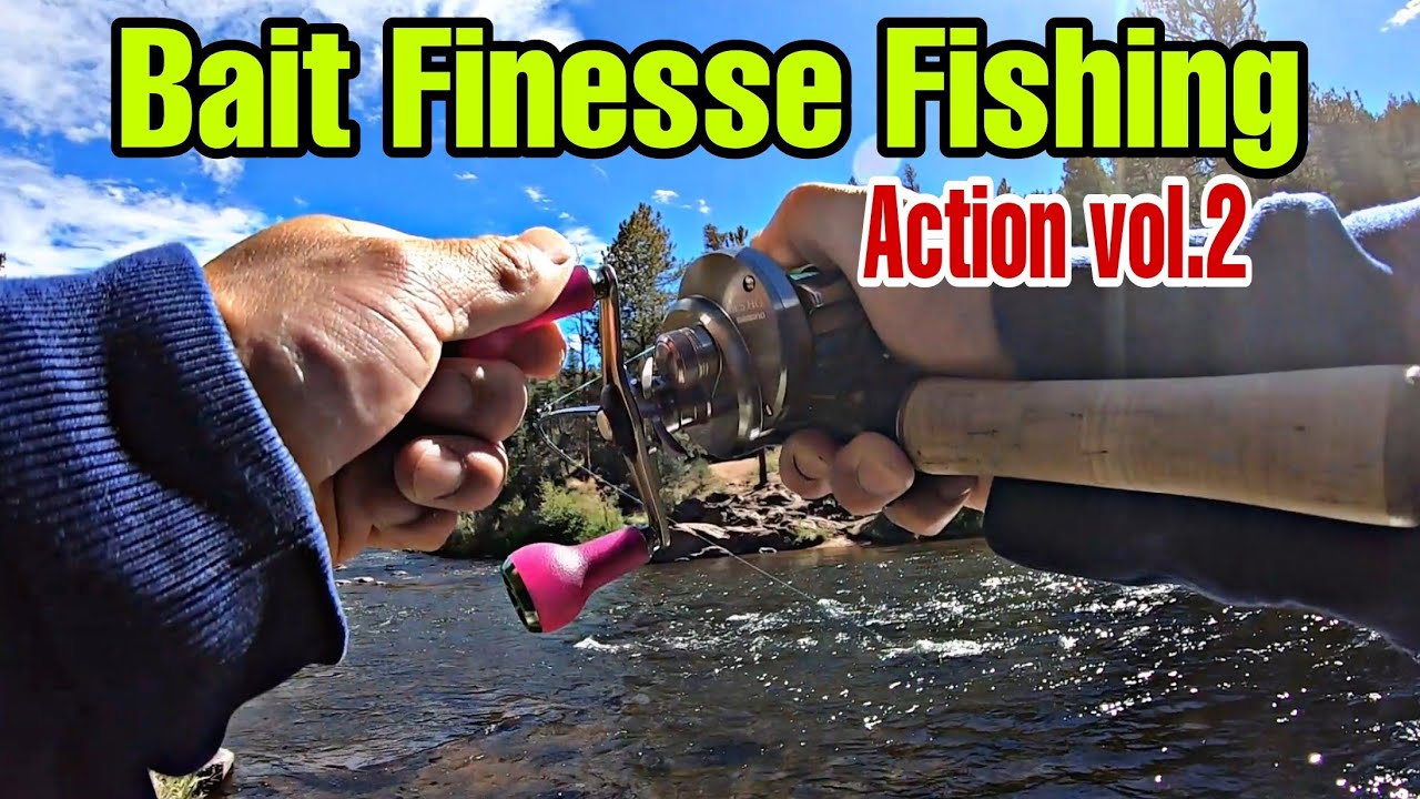Shimano Calcutta Conquest BFS Trout Fishing with My Dog. South Platte River, Colorado