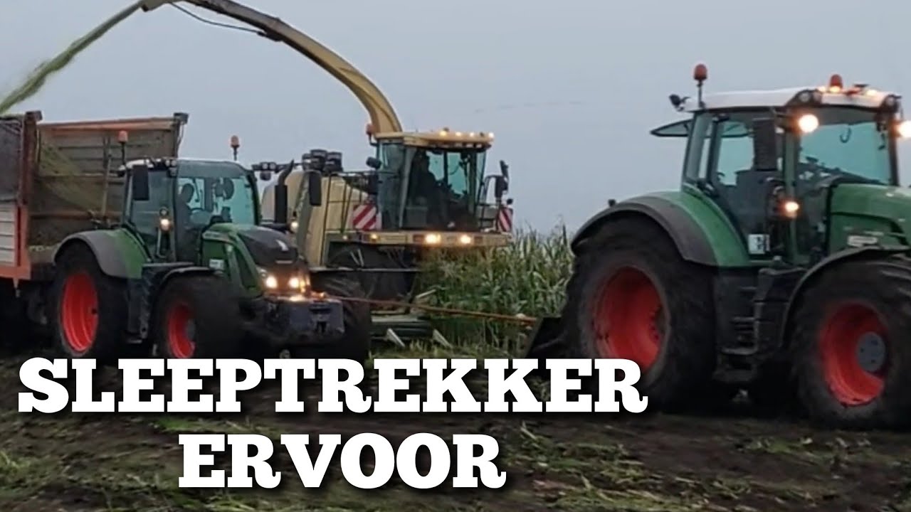MAIS HAKSELEN met sleeptrekker erbij op NAT LAND | Boer Gerrit vlogt