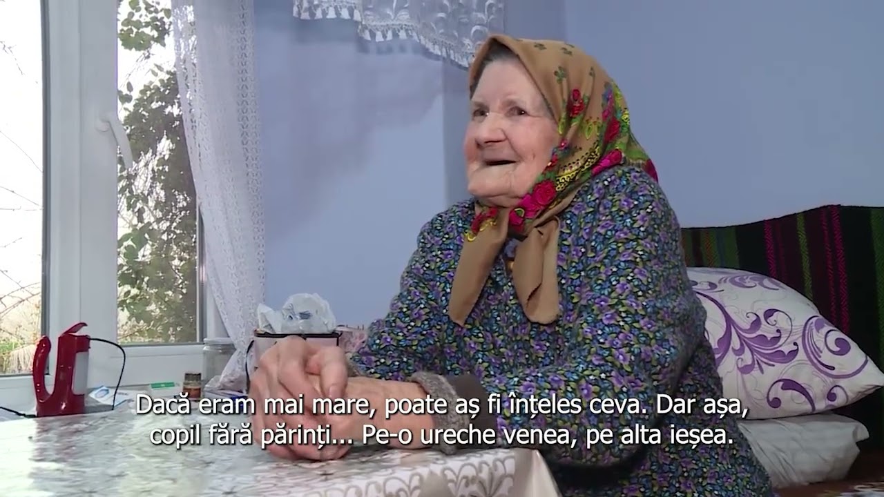 Dan Alexe, Drumul Spre Rădăcini