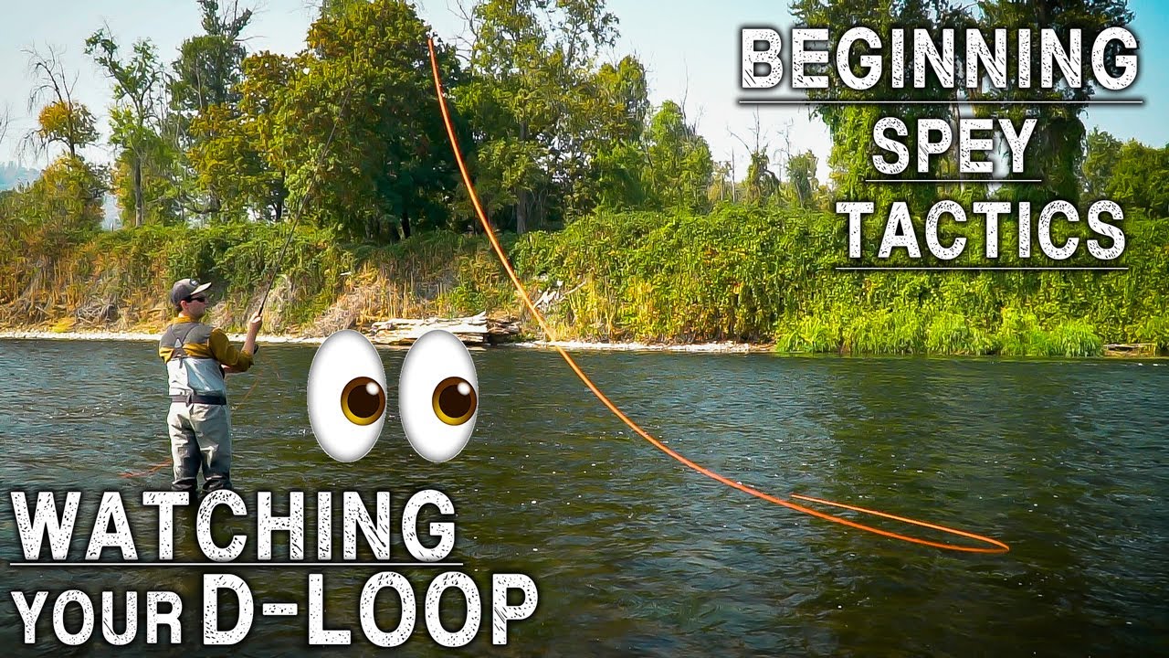Следите за своим D-Loop | Начальная тактика Spey, эпизод 7