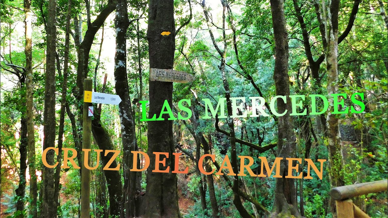 Cruz del Carmen - Las Mercedes. Parque Rural de Anaga, Reserva de La Biosfera, La Laguna, Tenerife.