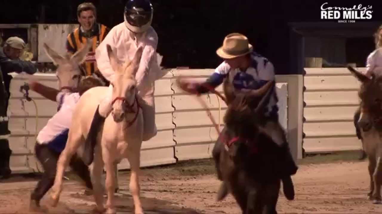 2015 BEAM Race Night