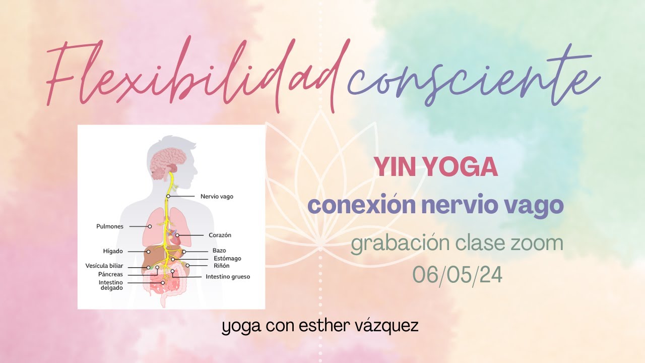 Clase Yoga Zoom -Flexibilidad Consciente - observando el nervio vago de mayo de 2024