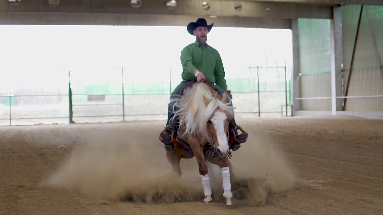 Equus Kör // REINING stílus-erő-elegancia az EquiWal főtámogatásával