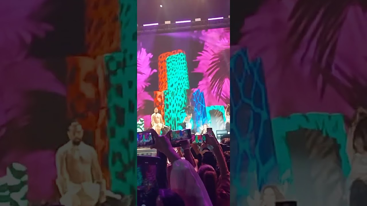 GLORIA trevi pelo suelto 