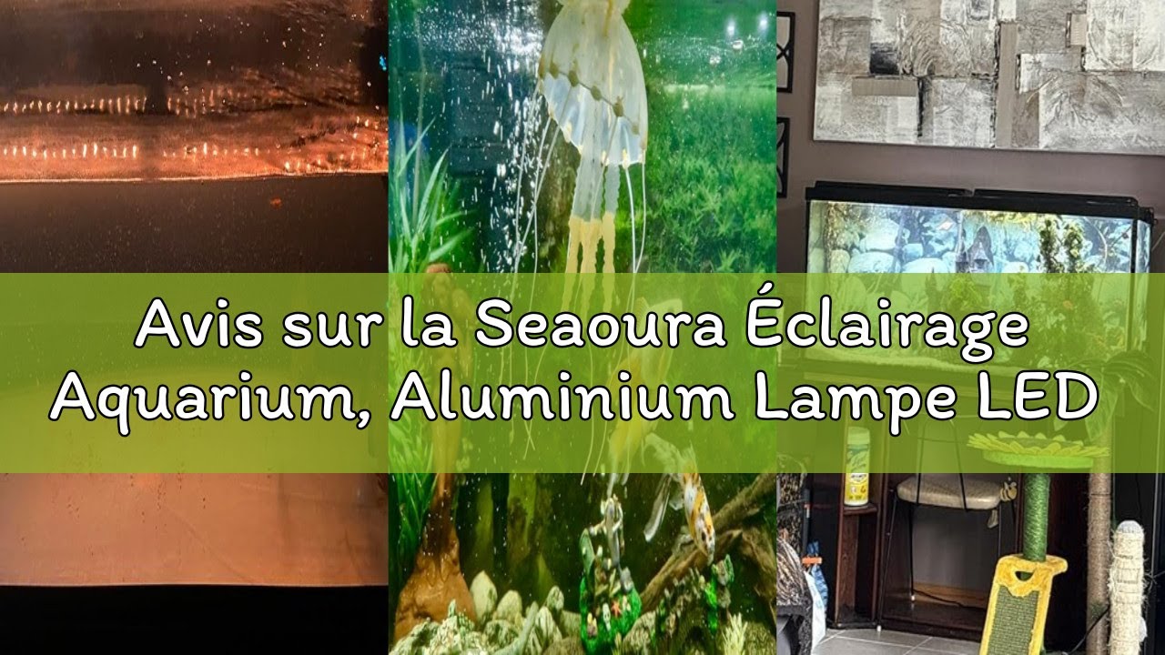 Avis sur la Seaoura Éclairage Aquarium, Aluminium Lampe LED d’Aquarium a Spectre Complet avec Minute