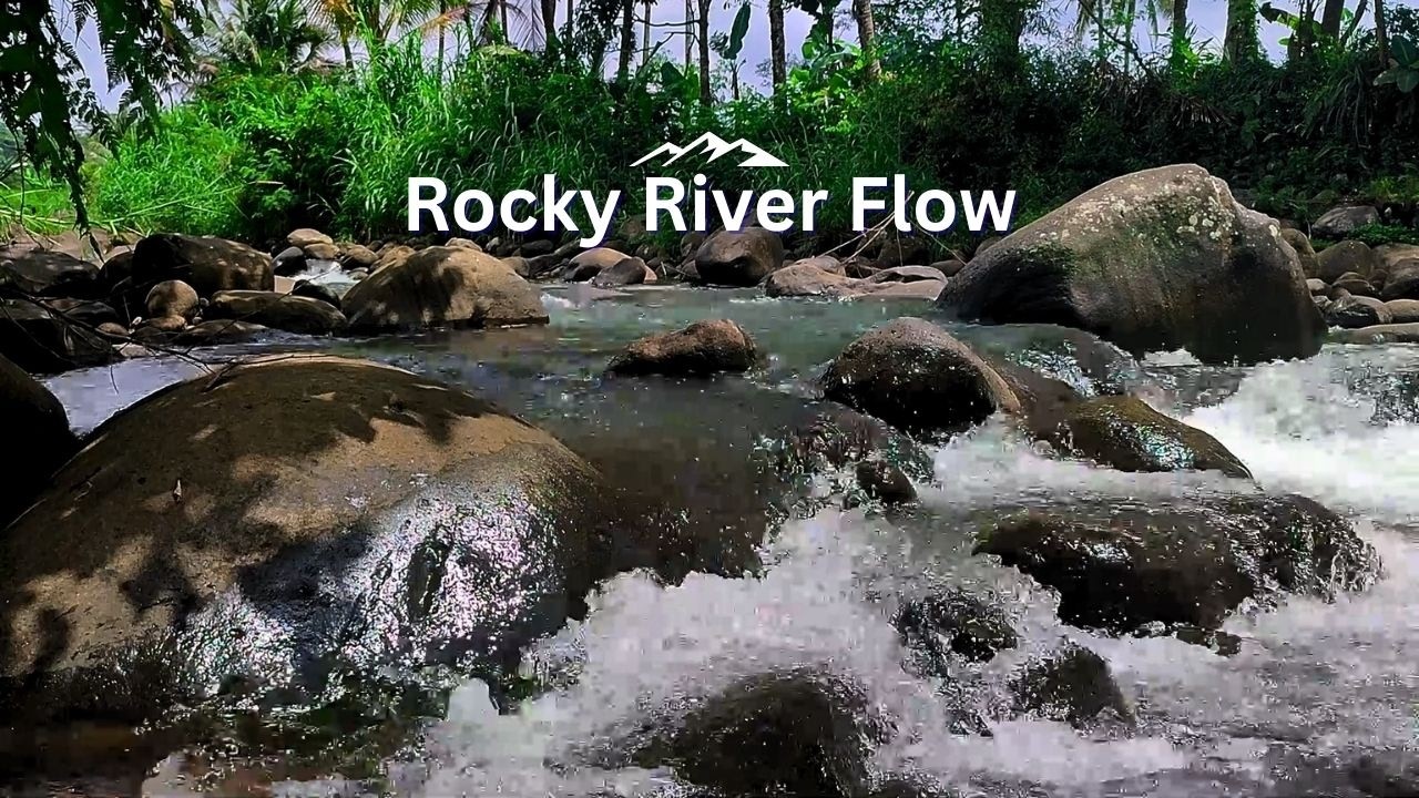 Forest River Sound Sleep ASMR — Deep Sleep for Overthinkers