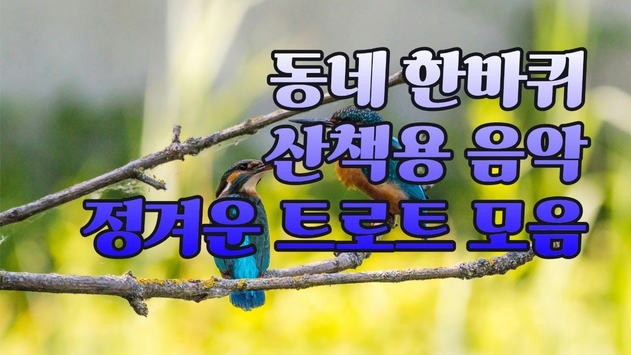 나만의 시간에 꼭 필요한 음악 / 편안하게 듣는 따뜻한 트로트 모음
