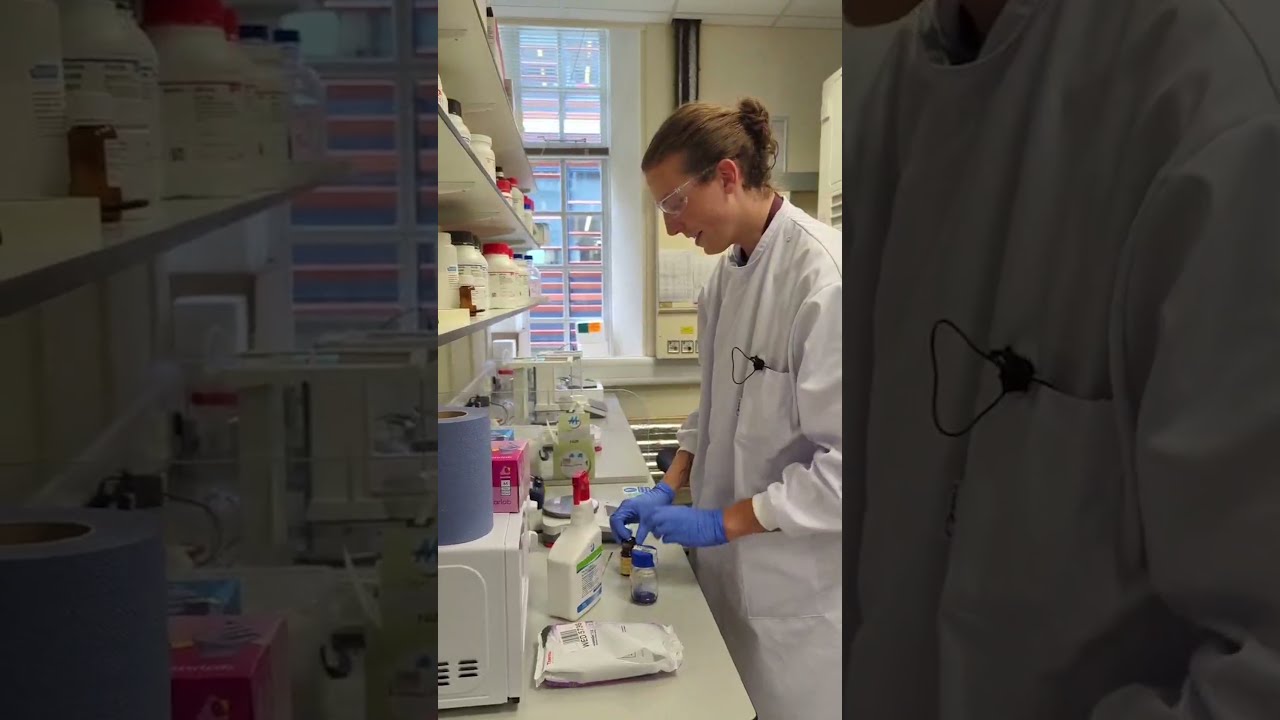 Day in the life of a research assistant at IOI