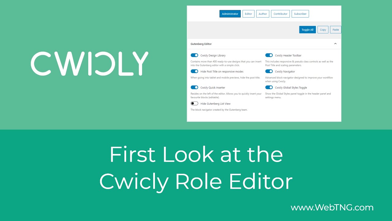 First Look at the Cwicly Role Editor
