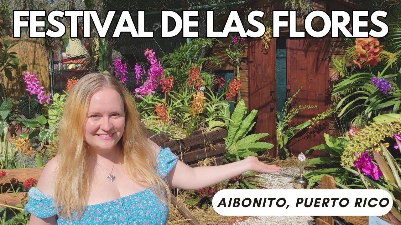 Festival de las flores en Puerto Rico | Amazing Flower Festival in Aibonito, Puerto Rico
