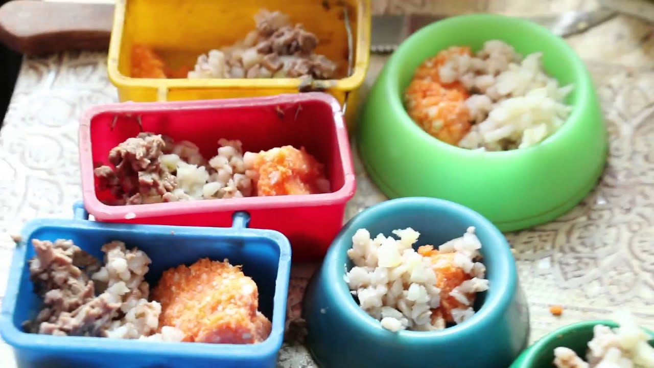 Кормление насекомоядных птиц, feeding insect-eating birds - рецепт