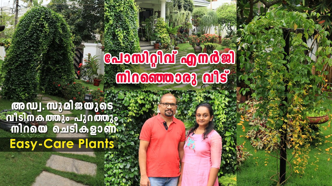 പോസിറ്റീവ് എനർജി നിറഞ്ഞൊരുവീട് | അഡ്വ.സുമിജയുടെ വീടിനകത്തുംപുറത്തും നിറയെ ചെടികളാണ്|Easy-Care Plants