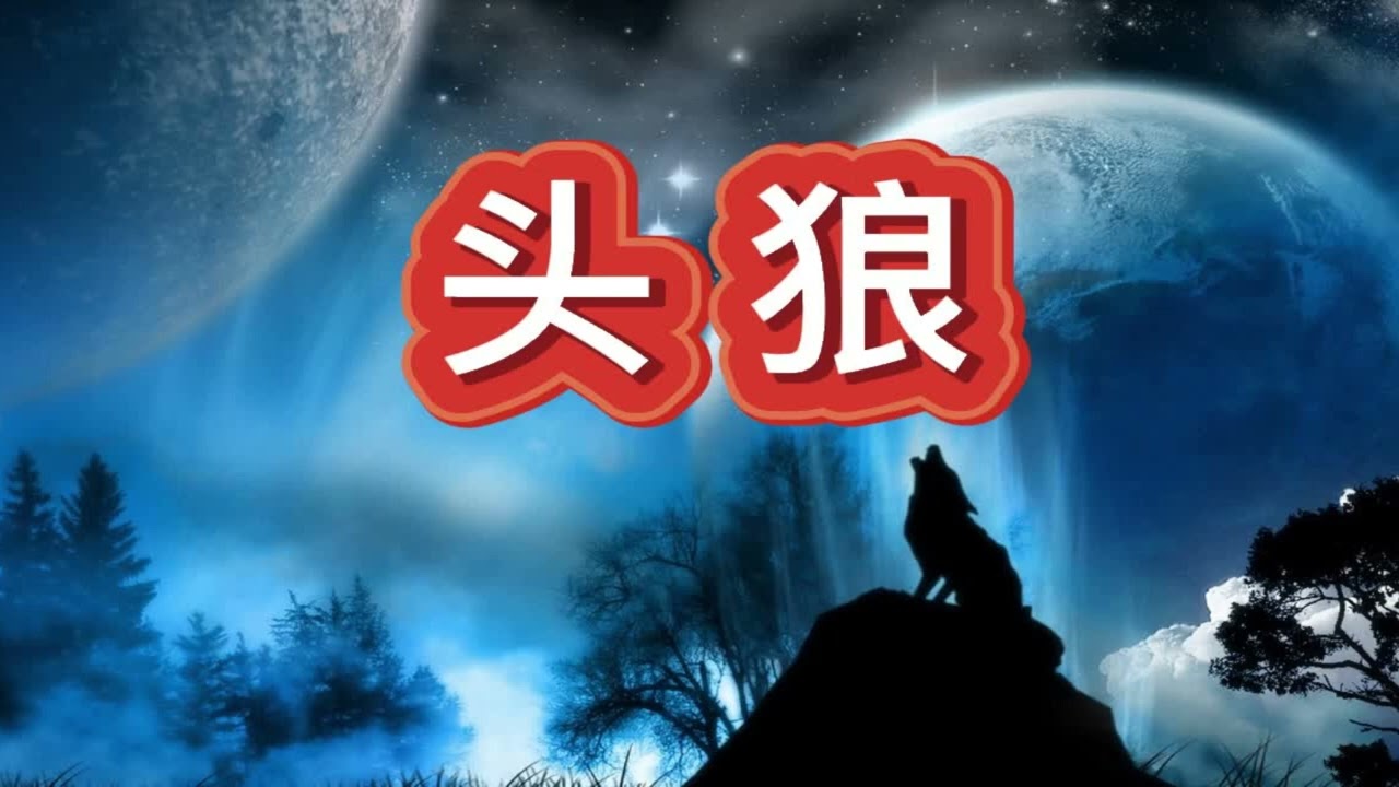 1-有声书《头狼》都市热血爽文/多人小说剧_第1部分#有声书#听书#有声小说