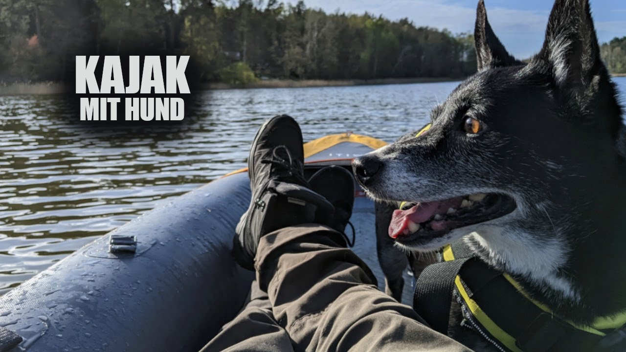 Aufblasbares Kajak mit Hund – unterwegs mit dem ITIWIT X100+ 2-Sitzer | Outdoor
