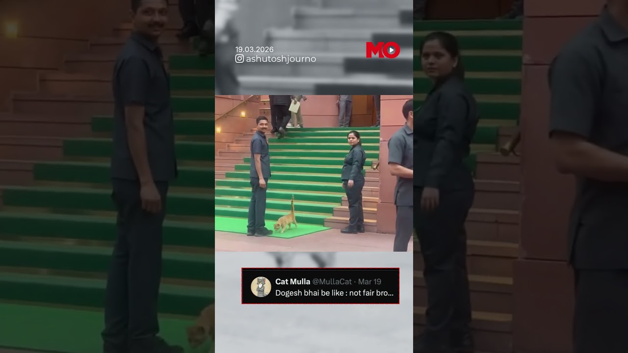 Internet Loves This Unexpected Visitor At The Parliament| Mo of Everything