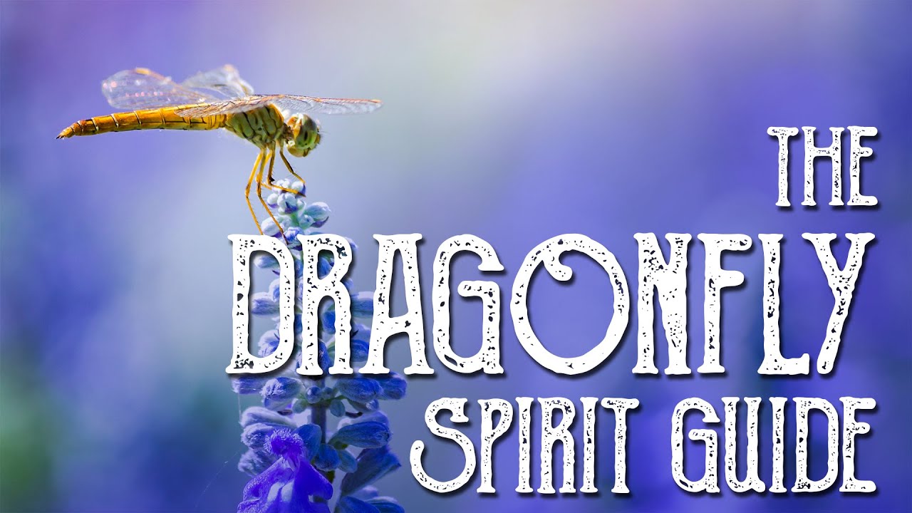 Dragonfly Spirit Guide - Ask the Spirit Guides Oracle, Totem Animal, Power Animal - Magical Crafting