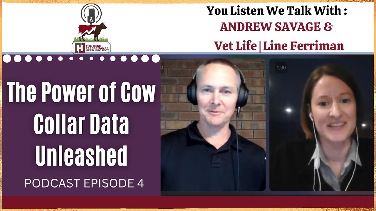 EPISODE 4: The Power of Cow Collar Data Unleashed - Vet Life | Line Ferriman