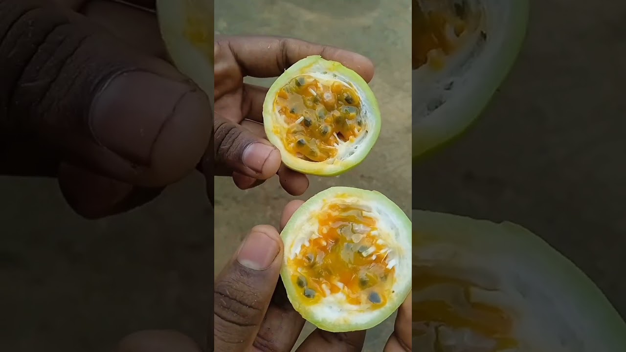 pesan purud🍋🍹#trending #shortsvideo #food