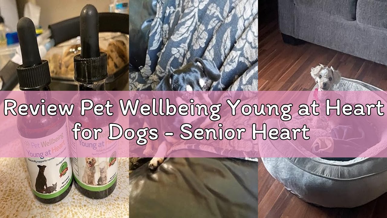 Review Pet Wellbeing Young at Heart for Dogs - Senior Heart Health Support, Cardiovascular Wellness