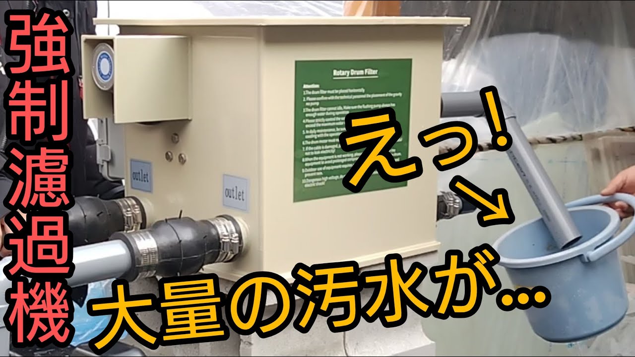 錦鯉池【最高の強制ろ過機】えっ！洗浄力がハンパない…　#koi　#錦鯉　#アクアリウム　#diy 　#養殖　#日本エコル