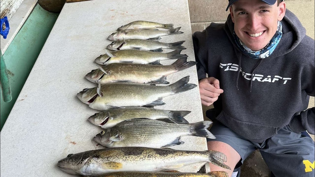 Lake Shelbyville May 2025 (White Bass, Crappie, and Sauger!)