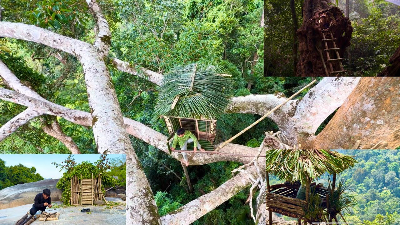 "Top 5 Wild Survival Moments That Shocked the Internet!"