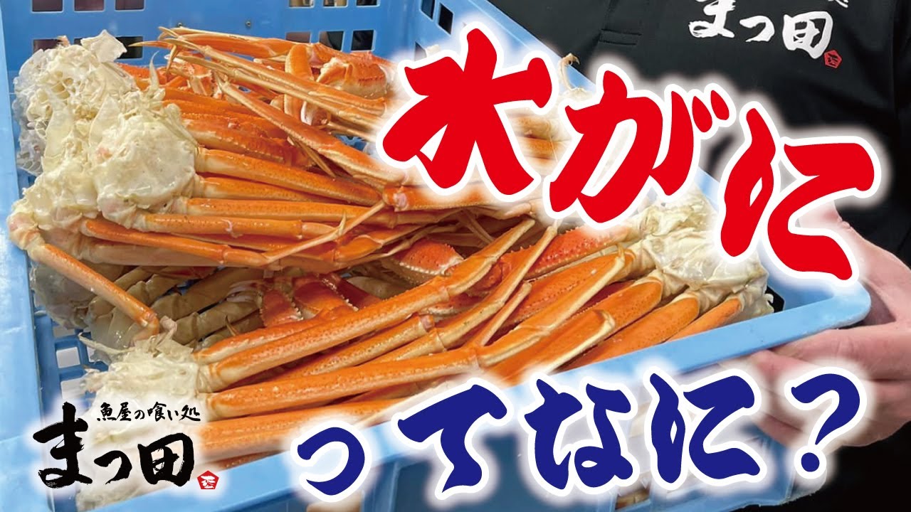 【水ガニ】ズボっと剥ける？！水ガニの魅力とは！【魚屋の喰い処まっ田】