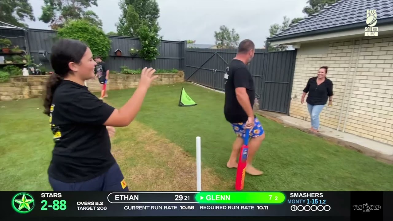 Backyard cricket
