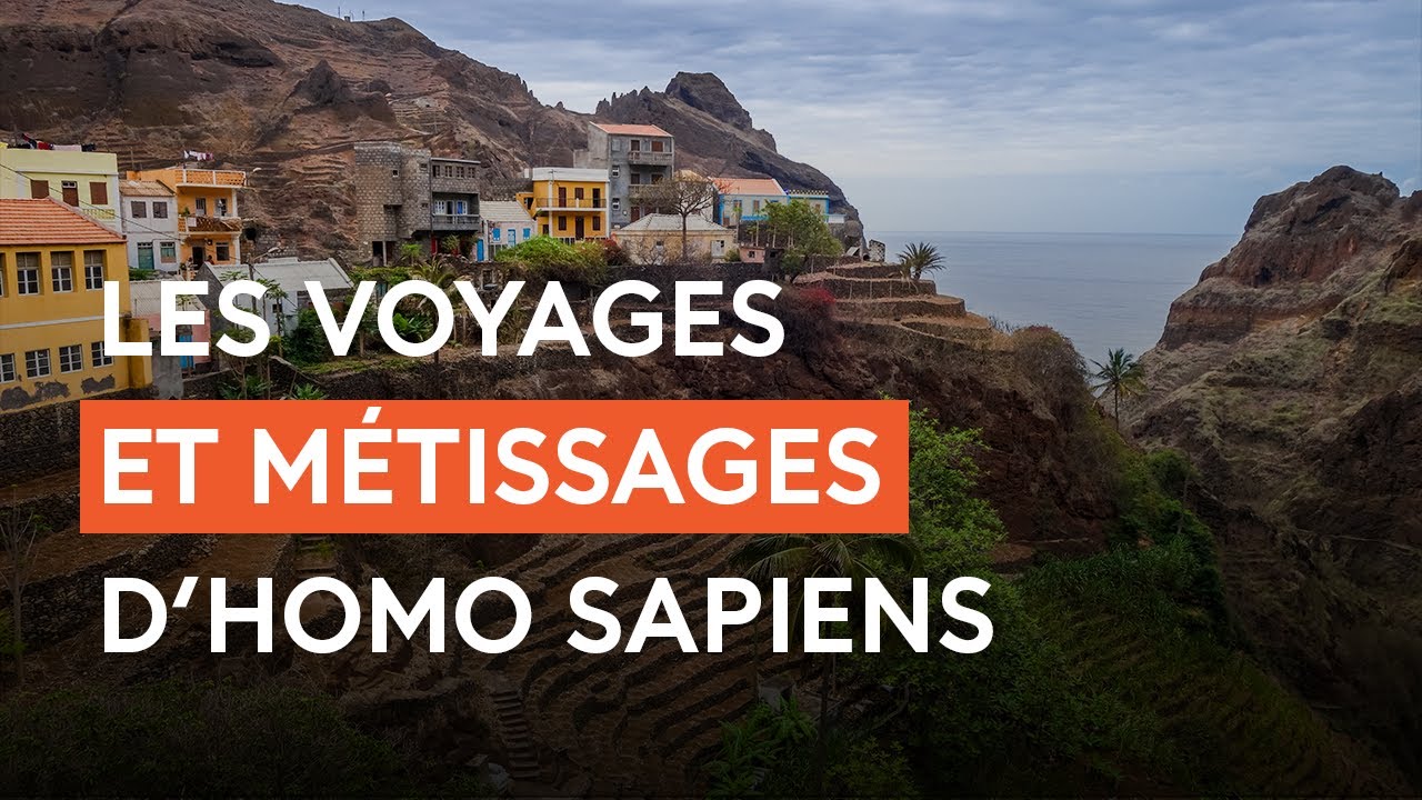 Migrations humaines et métissages génétiques : ce que l'ADN révèle de notre espèce