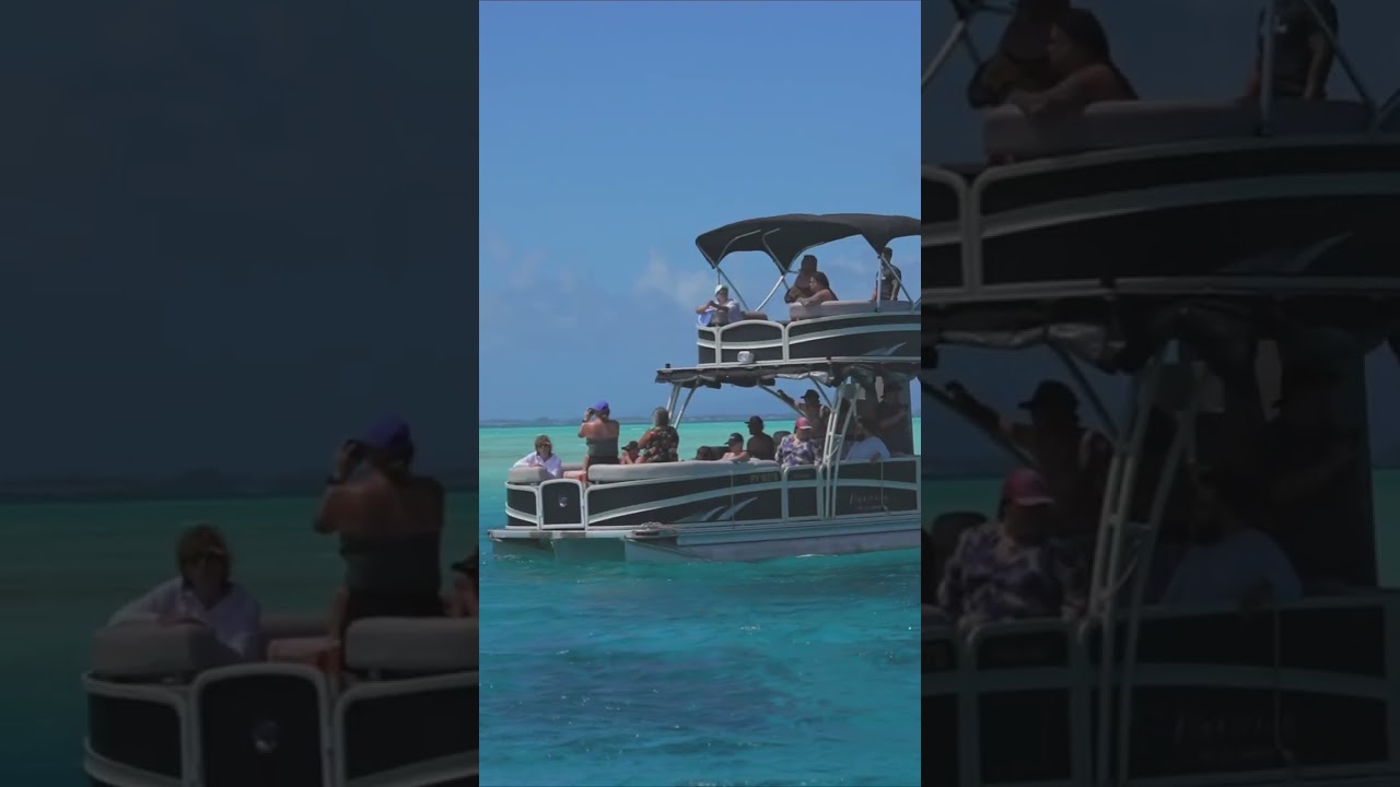 Private Premium Snorkeling in Bora Bora | Toa Boat Experience 🌊