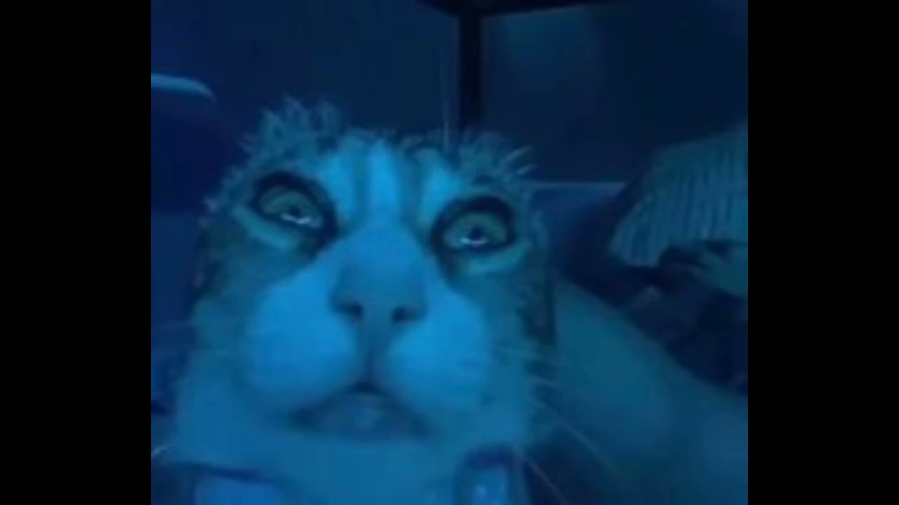 Night saber by Machine girl pitched mrrp
