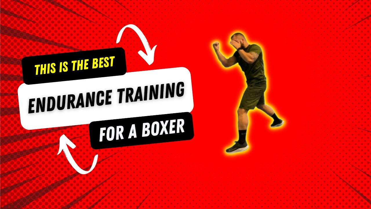 The BEST Endurance Training for a Boxer