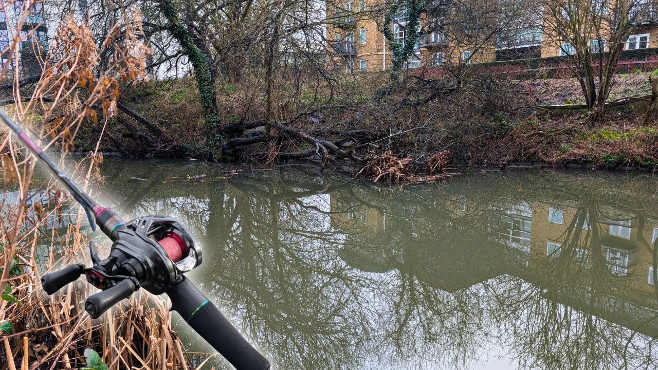 Lure Fishing for Perch: Exploring my Local River